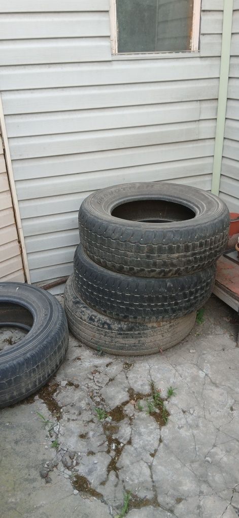 Продам шины на машину