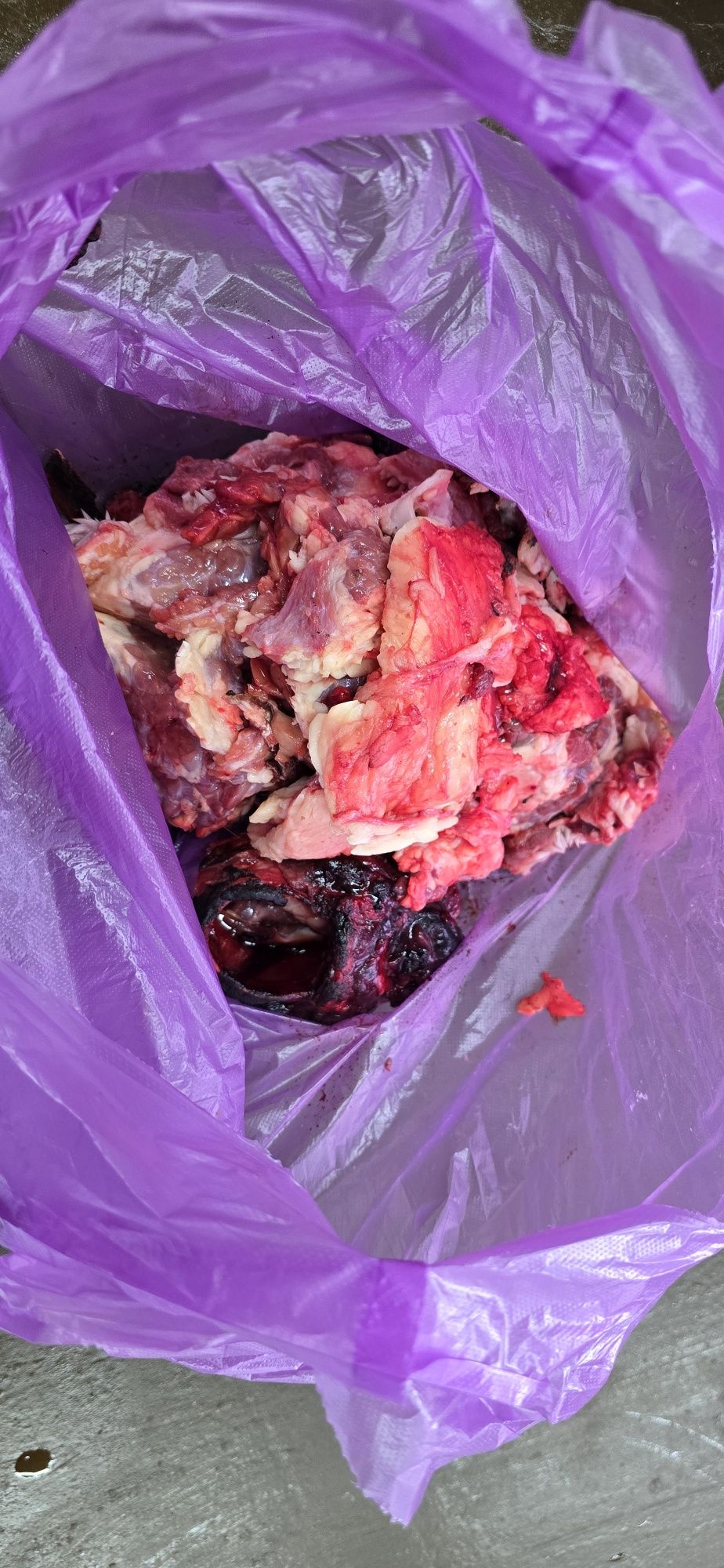 Продаю конины и  говяжие сбой печень  сердце лёгкий  почки.