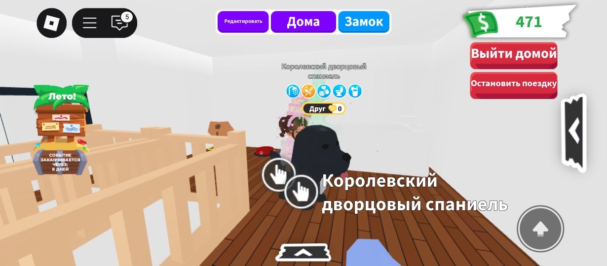 Продаю р королевского спаниеля