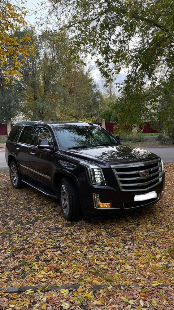 Аренда авто прокат машин с водителем Prime auto rent
