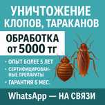 Дезинфекция | Уничтожение клопов, тараканов и других насекомых.