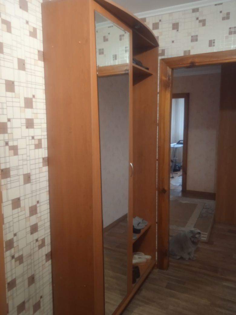 Шкаф в прихожую.