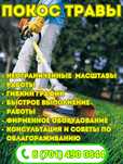 Косим траву, покос травы, избавим вас от травы