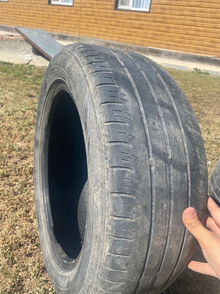 Dunlop летний шиналар сатылады 205/55 r16