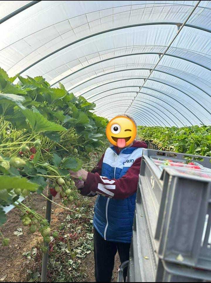 Англияға неге барғын келмейді ?