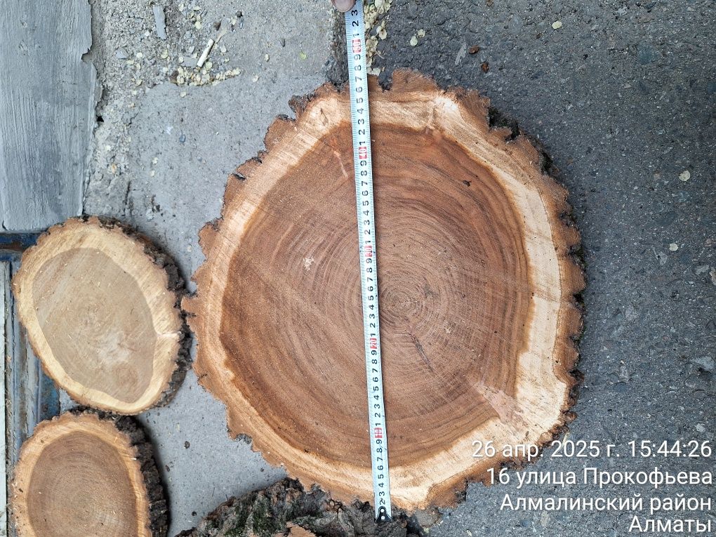 Продам рубочный пенек( карагач)