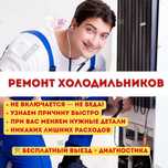 Ремонт холодильников не дорого в Астане