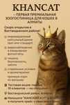KHANCAT — первая премиальная зоогостиница для кошек в Алматы