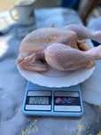 3500 за 2 кг мяса домашней курицы бройлера