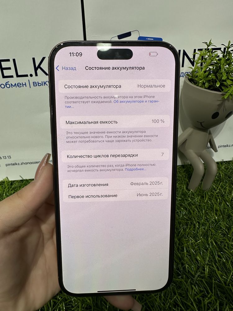 Iphone 16 Pro Max 256gb