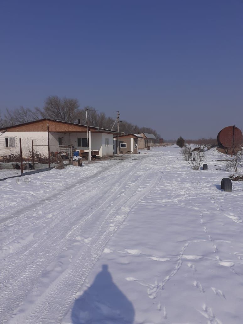 Сдам в аренду фазенду Николаевка