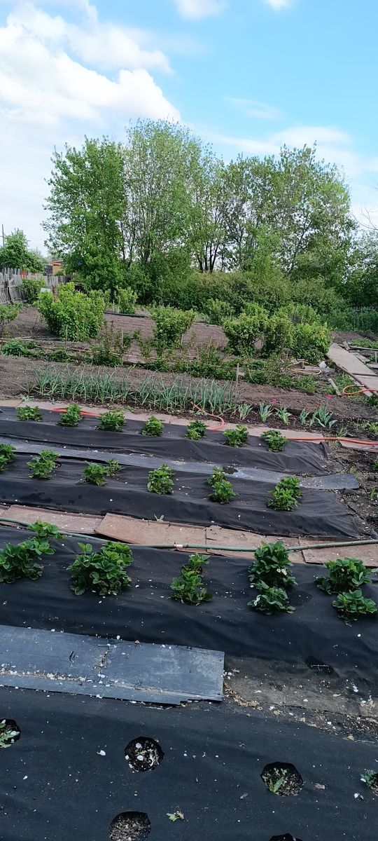 Продам классную дачу в которой можно жить весь сезон.