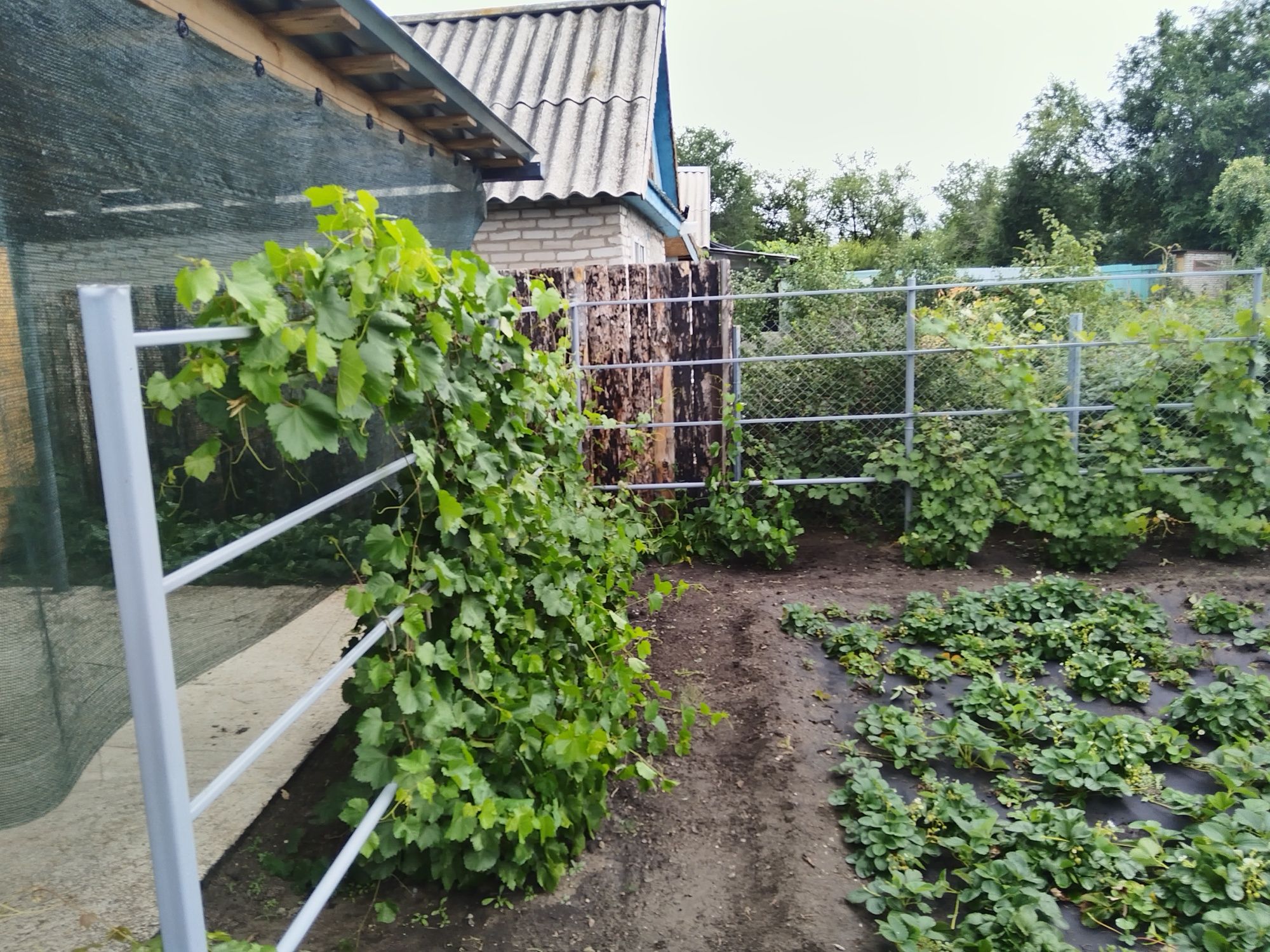 Продам дачу. Со весна.