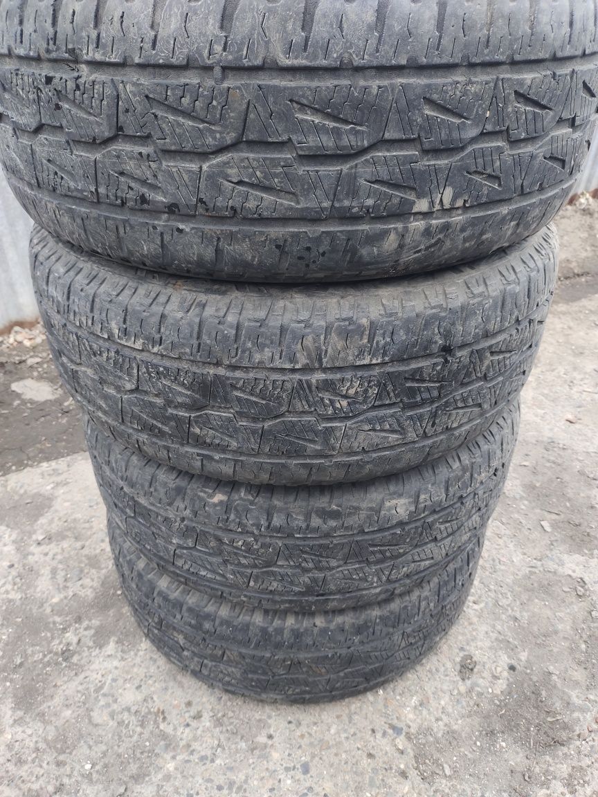 265 60 р18 летнее