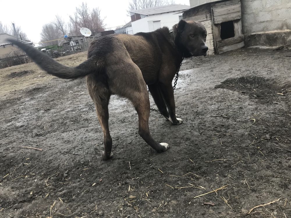 Продам кабеля