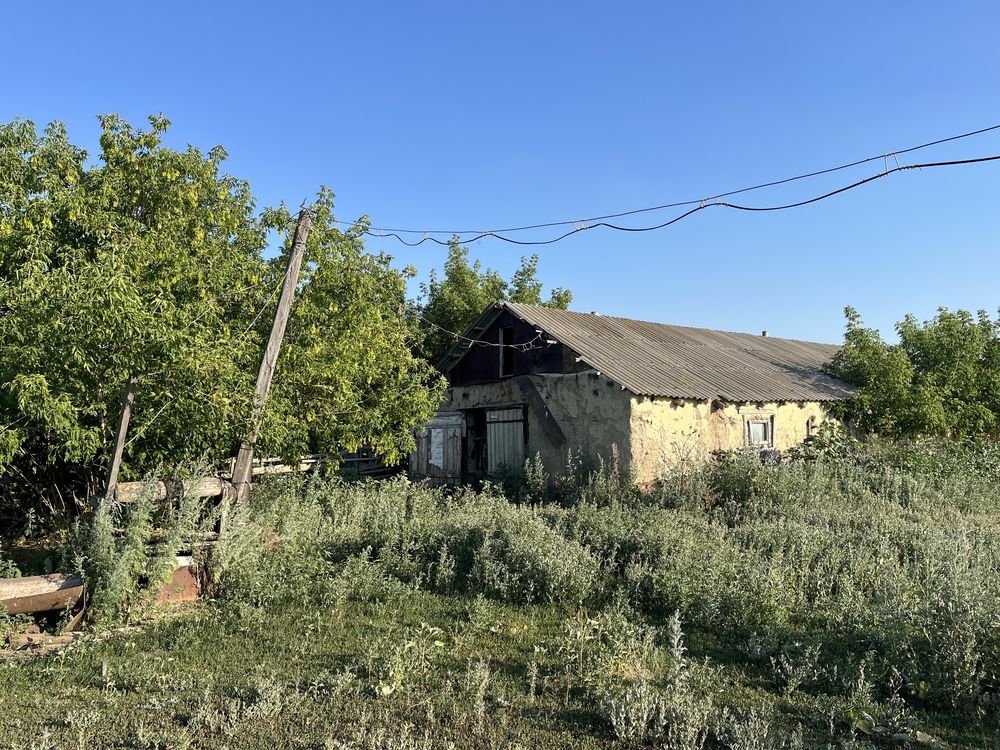 Продается дом с большим участком.