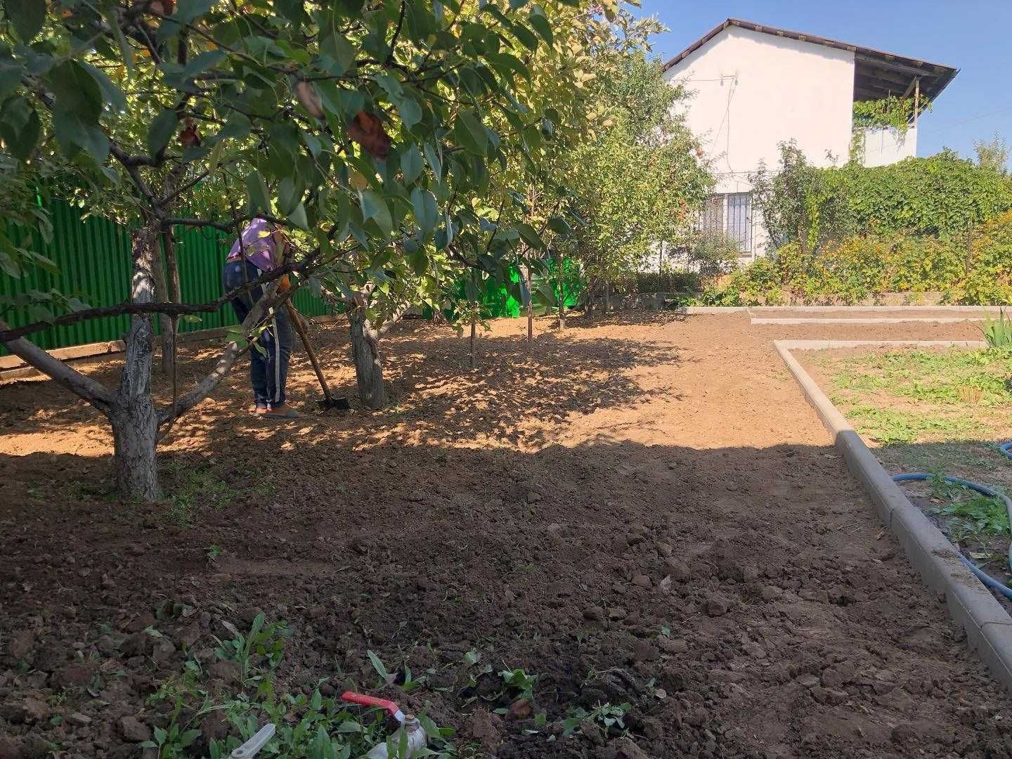 Рулонный Газон под ключ  Ландшафт  Алматы Семена Газона