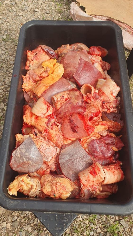 Мясо,Корм для собак