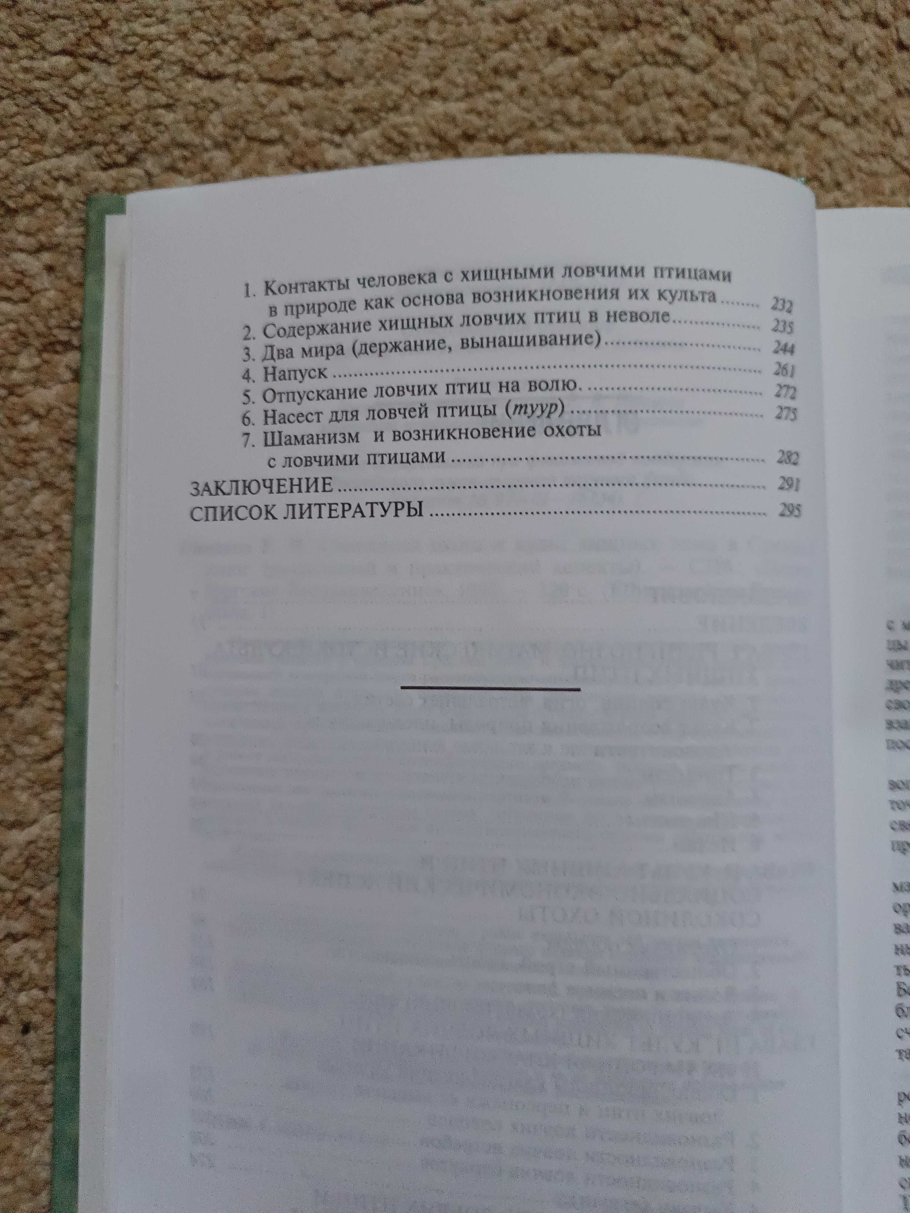Соколиная охота Беркутчи
