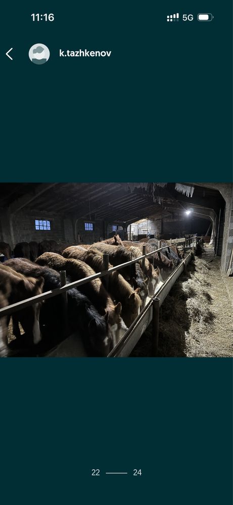 Срочно продам или сдам в аренду базу с земельным участком