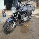 Продам Honda cb600