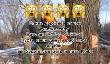 Спил деревьев очистка участка