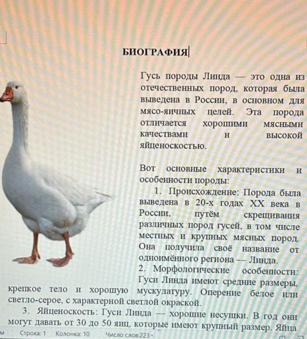 Птица гуси утки и т.д.