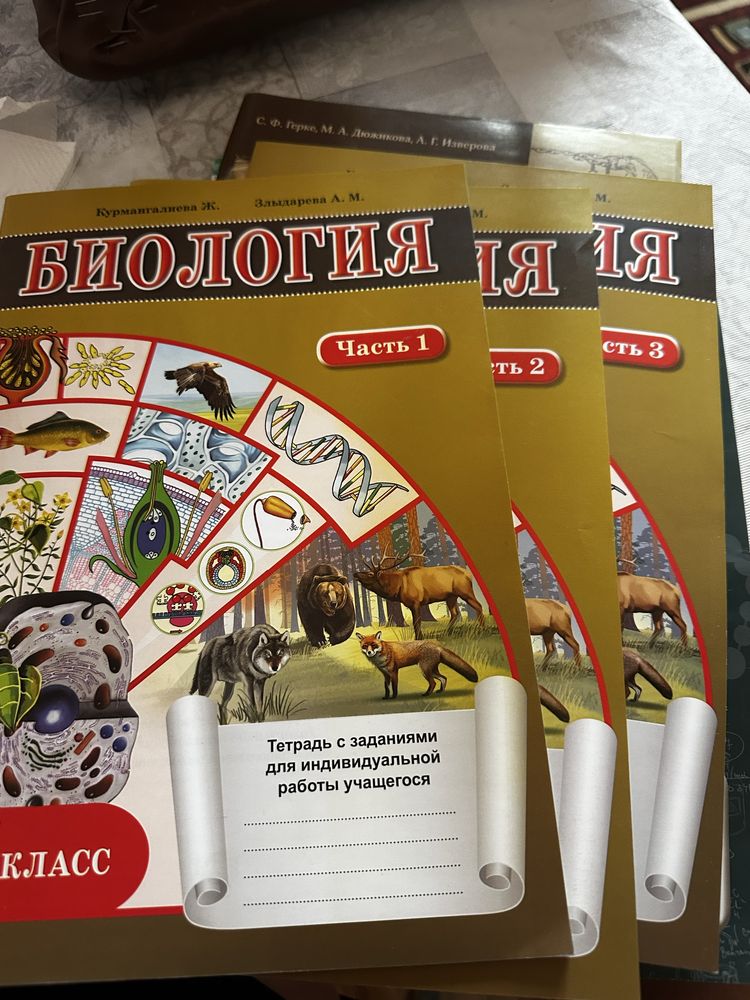 Дополнительные тетради