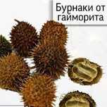 Бурнаки самое эффективное средство от Гайморита  Бурмешоп Ошаган