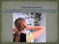 Чистка Удаление  Плесени , Запаха, Вирусов , Бактерий . Вентиляция.