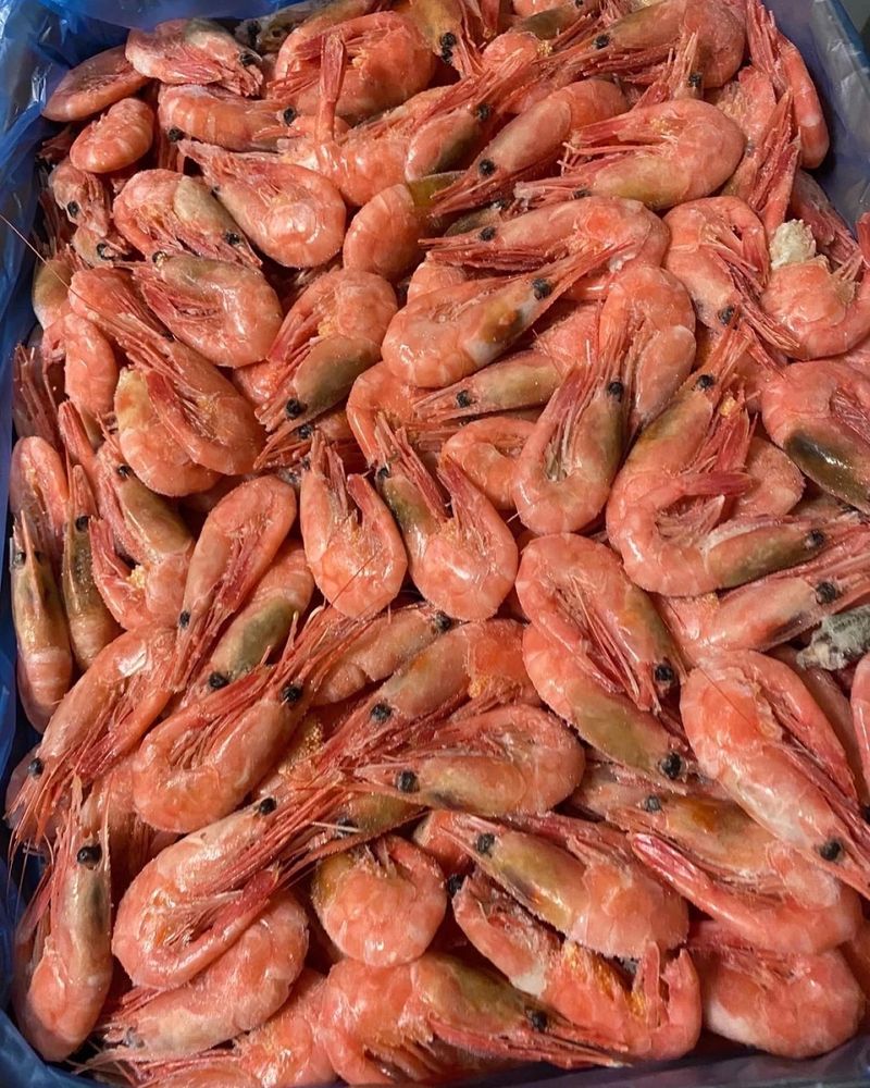 Живые и вареные раки! Морепродукты и др.