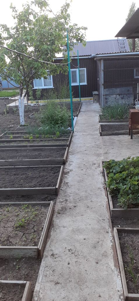 Дачный участок.с домом и постройками.