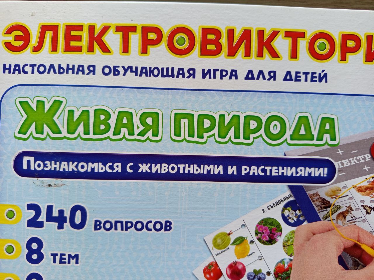 Электровикторина развивающая игра для детей