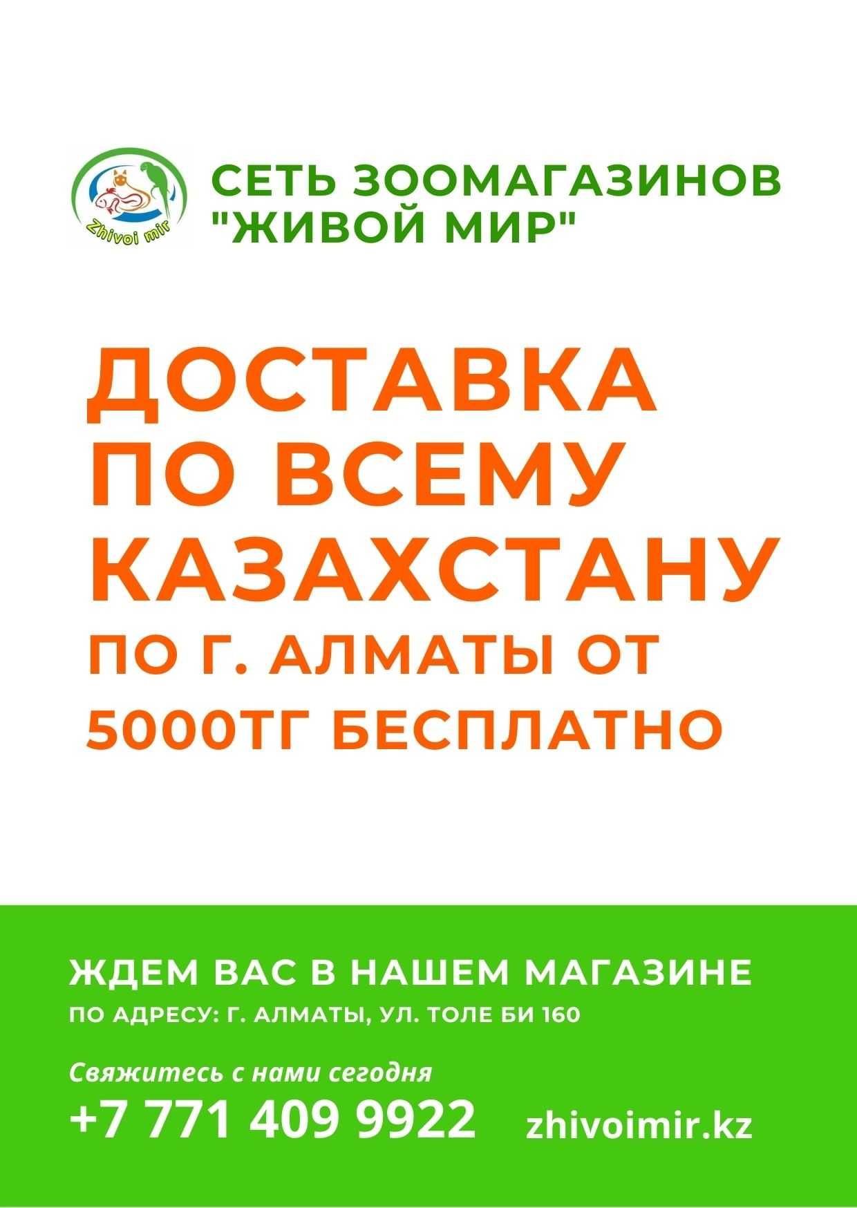 Little One корма и лакомства для грызунов в "Живом Мире" на Толе би