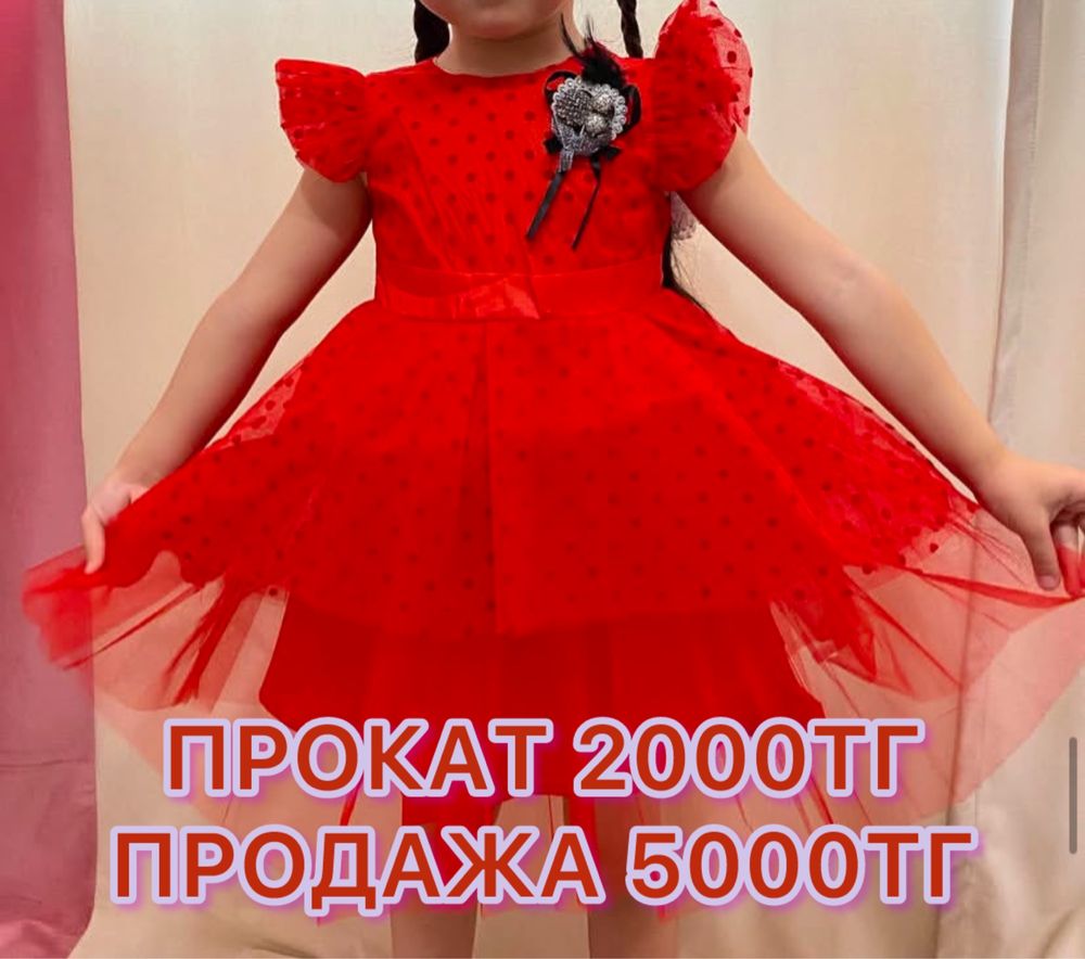 продам или прокат