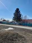 Продам большой  дом в деревне Березовка