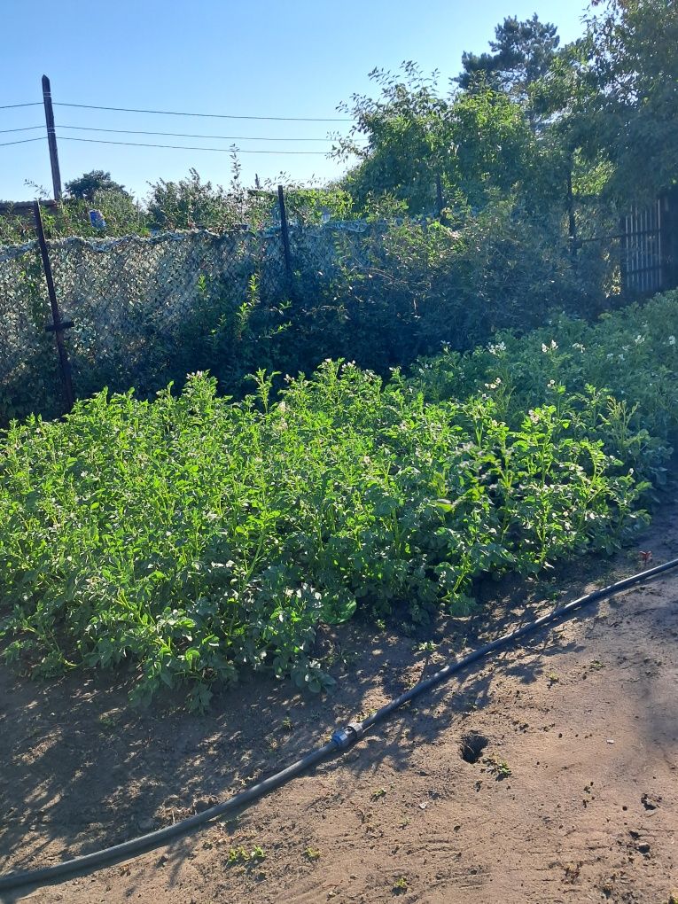 Продам дачу ВДУ ВЕСНА
