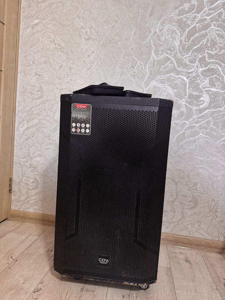 Аренда Колонка с микрофоном