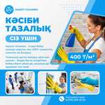 Профессиональный клининг. Генеральная/Влажная уборка.