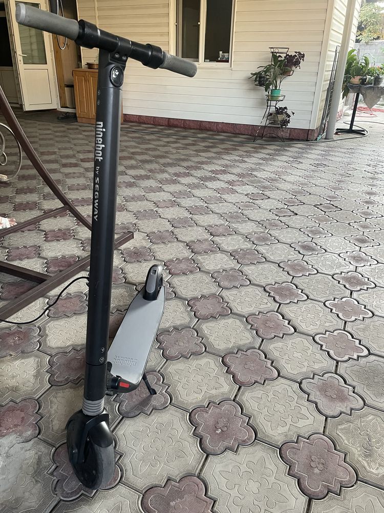 Электросамокат Ninebot Es1