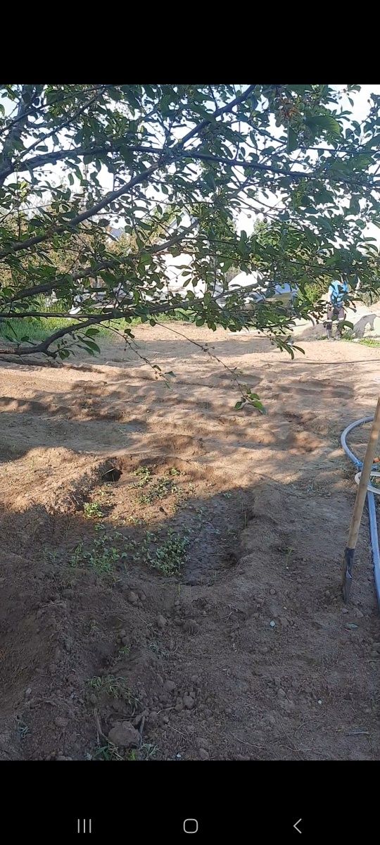 Продам дачу со Агротехснаб