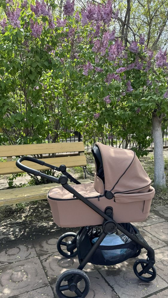 Коляска Anex IQ 3в1