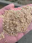 Пшеница ячмень кукуруза зерно биде