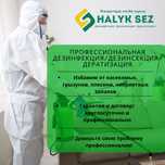 Уничтожение клопов, тараканов