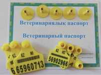 Төрт түлік малға арналған сырға , Ушная бирка , Малға таңба