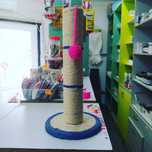 Когтеточка для кошек