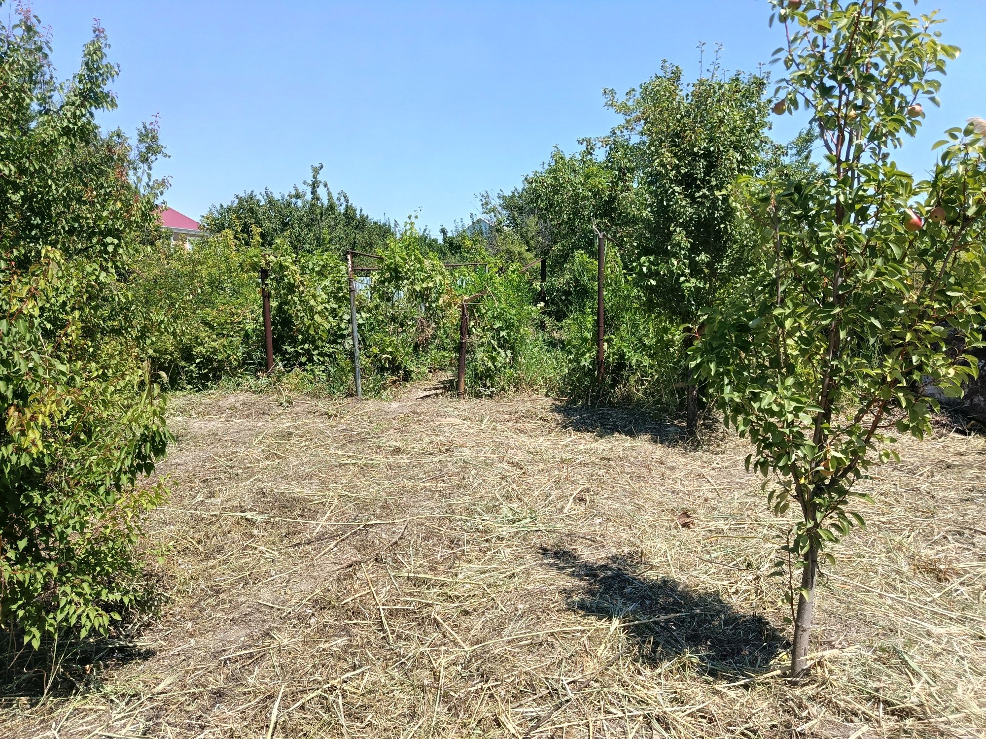 Продам дачу 10 соток