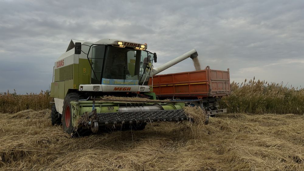 Продам комбайн срочно Class mega 204