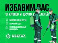 Дезинфексия Уничтожение Клопов Тараканов Крыс Мышей В Доме Кафе Скидка