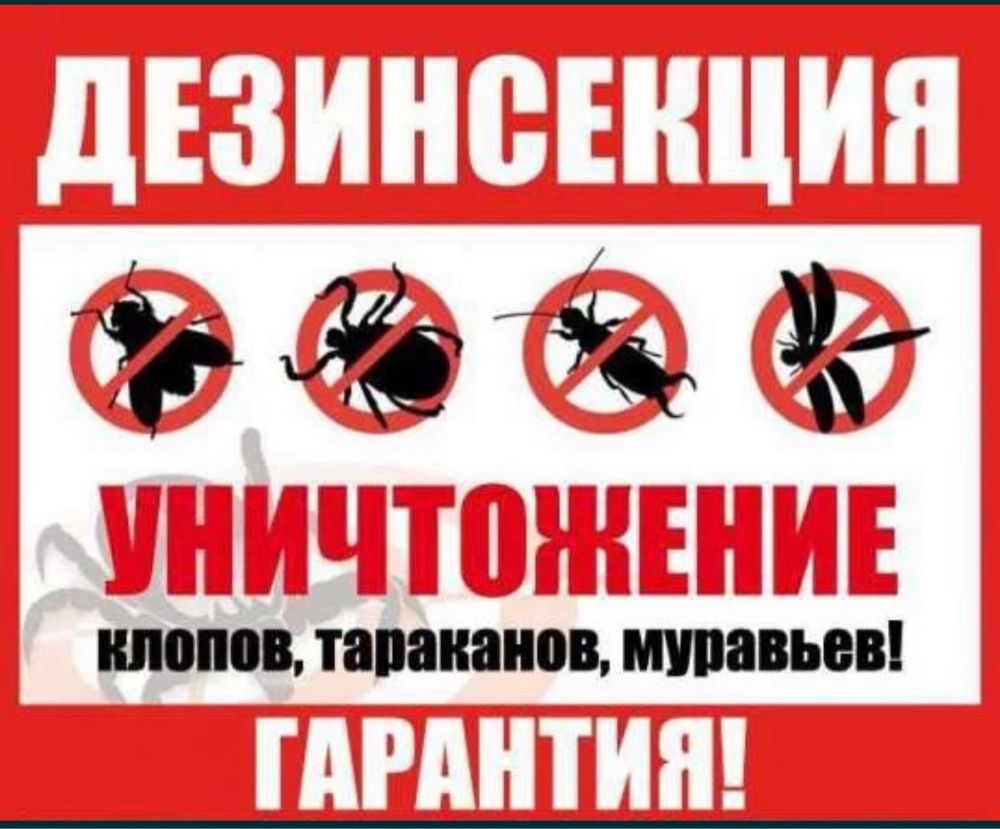 Дезинфекция дезинсекция от каракурта от клопов от тараканов